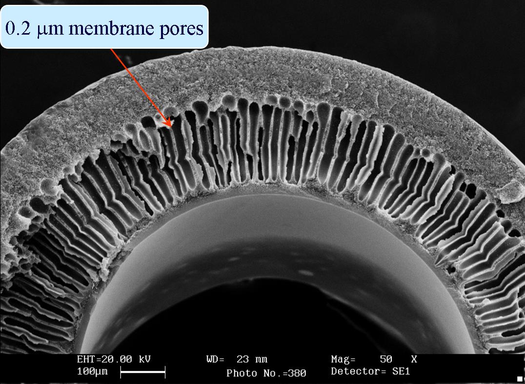 SEM Cross Section of Filtration Membrane